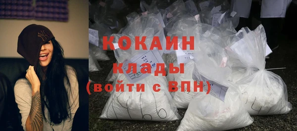 твердый Алексеевка