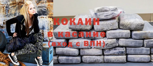 твердый Алексеевка