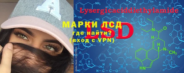 шишки Армянск